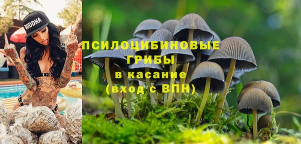 гидра Алзамай